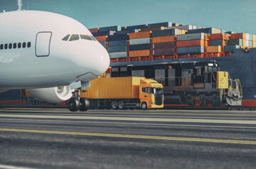 Export & Import
